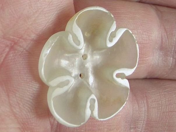 Flower 622 - (2127)